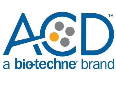 RNAscope™ In Situ Hybridization
