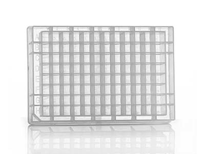 4titude 96 Square Deep Well Storage Microplate
