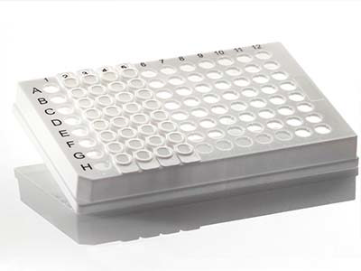 4titude 96 Well Skirted PCR Plate for Removable 8 Well Tube Strips