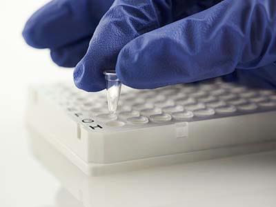 4titude Individual Access 96 Well Skirted PCR Plate