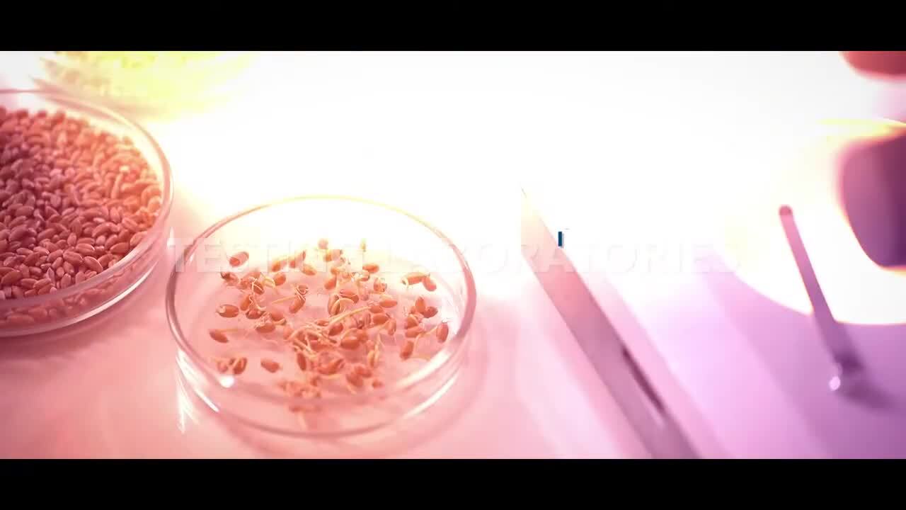 Airstream® Horizontal Laminar Flow Clean Bench (LHG)