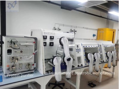 Customized Chamber (Anaerobic / Hypoxia)