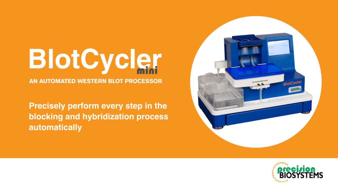 BlotCycler® Mini Automated Western Blot Processor