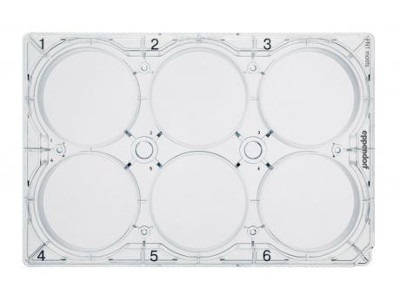 CCCadvanced® FN1 motifs Cell Culture Plates
