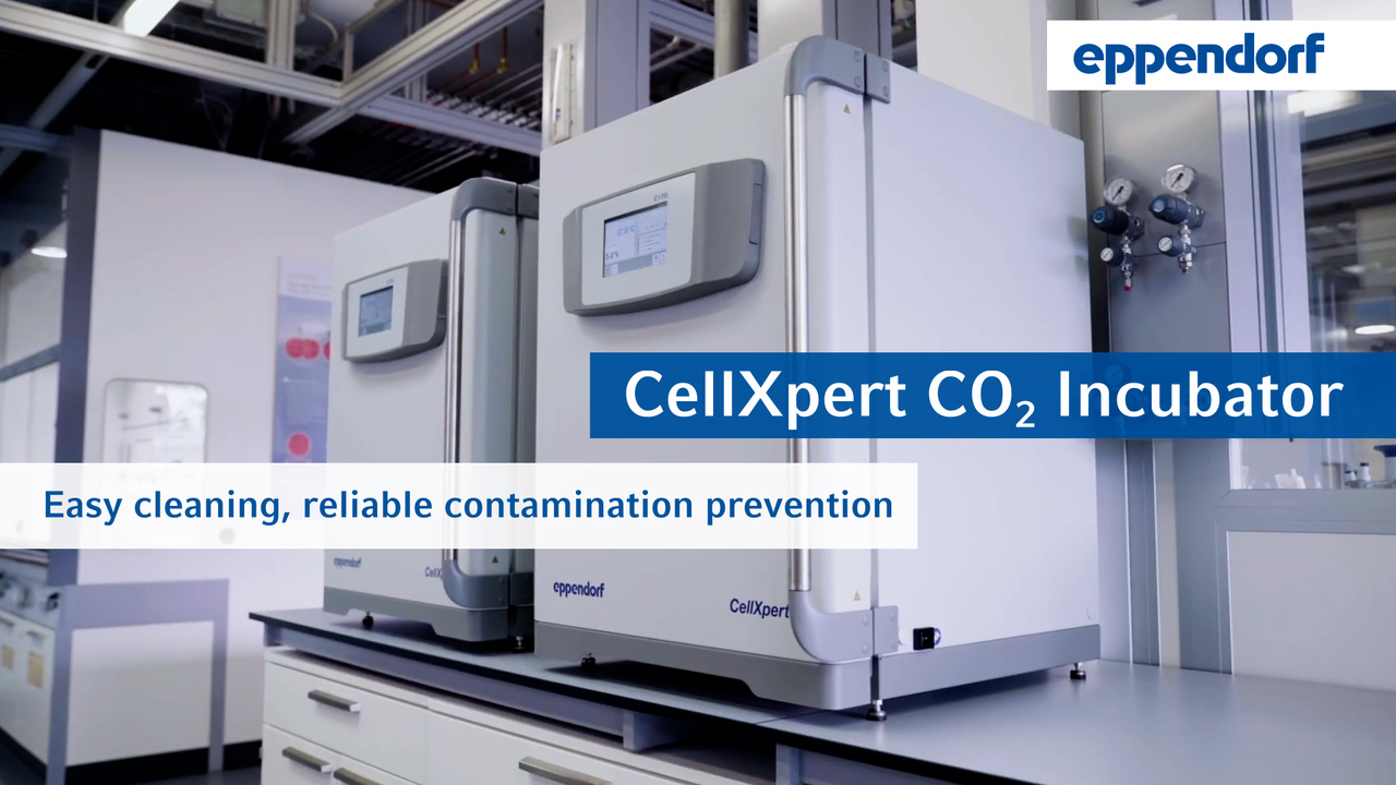 CellXpert CO2 Incubator