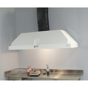 Cole-Parmer Ducted Wall Canopy Fume Hood, 36" W