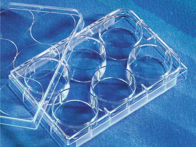 Costar® 24-well Clear Flat Bottom Ultra-Low Attachment Multiple Well Plates, Individually Wrapped, Sterile