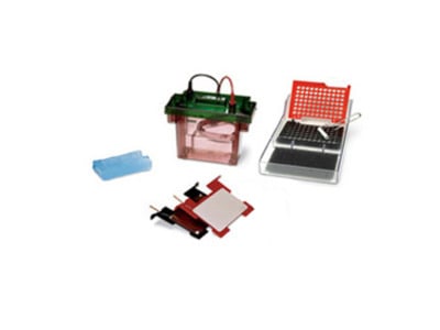 Criterion Blotter With Plate Electrodes