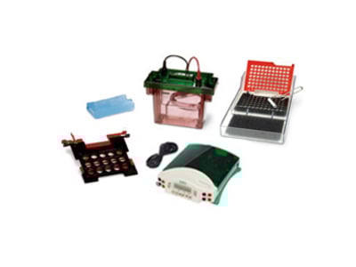 Criterion Blotter With Wire Electrodes and PowerPac HC Power Supply