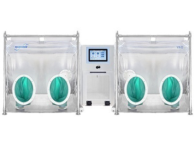Dual Anaerobic Chamber