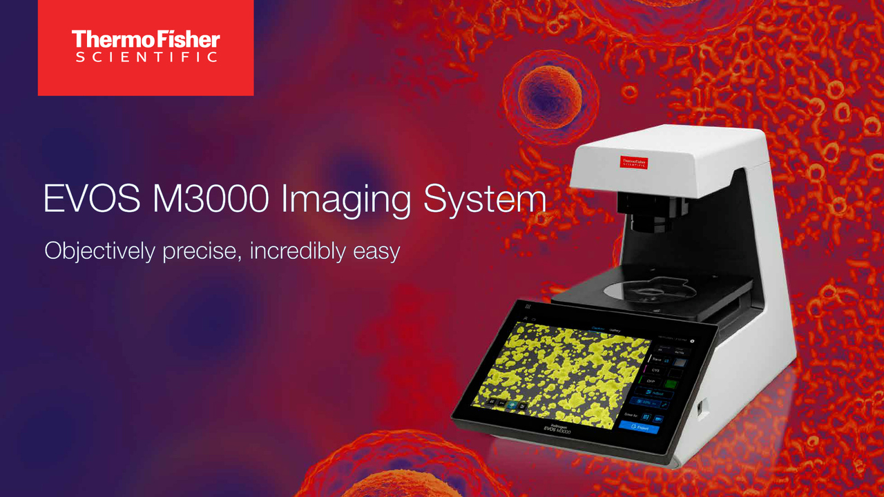EVOS™ M3000 Imaging System