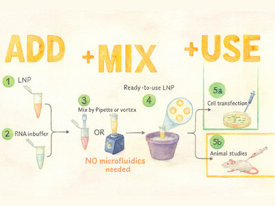 EZ-LNP&trade; Transfection Kit