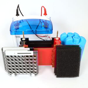 FastGene® Western Blot System