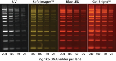 Gel-Bright™ Laser Diode Gel Illuminator