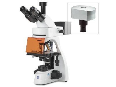 Globe|Euromex bScope Trinocular Compound Microscope for LED fluorescence plus CMEX-18 Pro digital camera