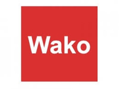 Human beta-Amyloid (1-40) ELISA II