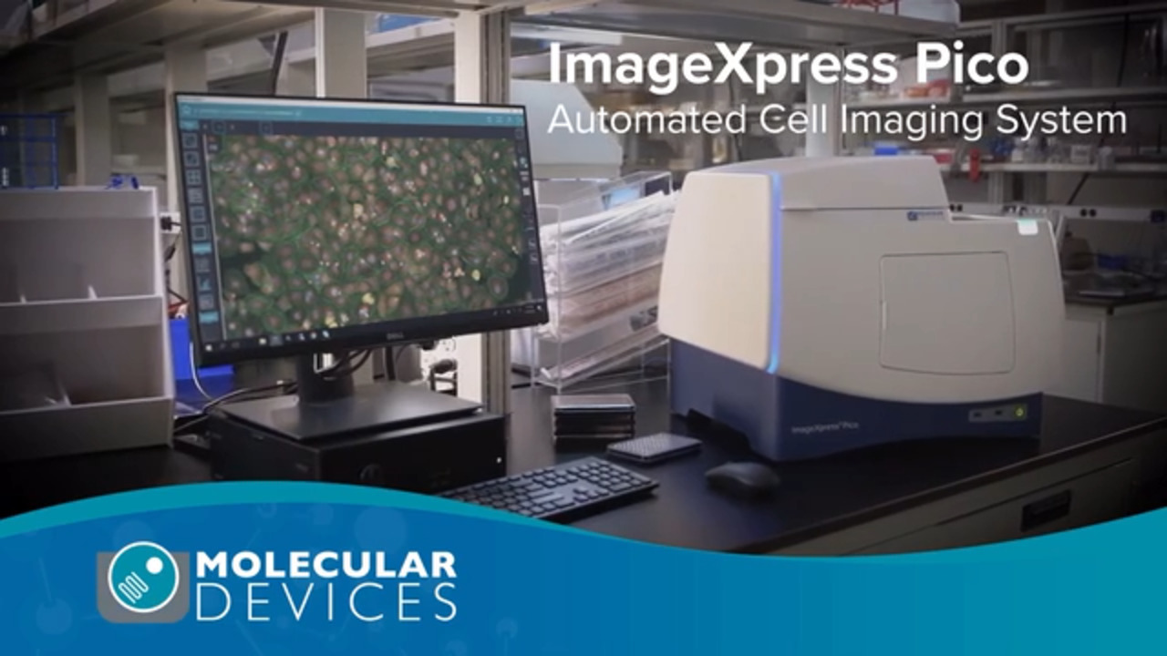 ImageXpress Pico Automated Cell Imaging System