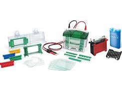 Mini-PROTEAN Tetra Cell and Mini Trans-Blot Module