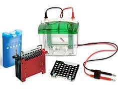 Mini-PROTEAN Tetra Cell for Ready Gel Precast Gels and Mini Trans-Blot Module