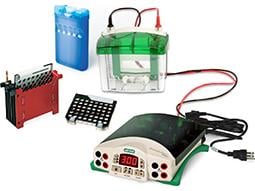 Mini-PROTEAN Tetra Cell for Ready Gel Precast Gels, Mini Trans-Blot Module, and PowerPac Basic Power Supply