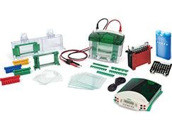 Mini-PROTEAN Tetra Cell, Mini Trans-Blot Module, and PowerPac HC Power Supply