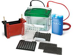 Mini Trans-Blot® Electrophoretic Transfer Cell