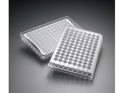 MultiScreenHTS HV Filter Plate, 0.45 µm, clear, sterile