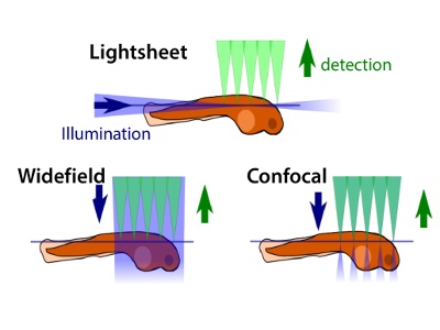 Selective Plane Illumination Microscopy