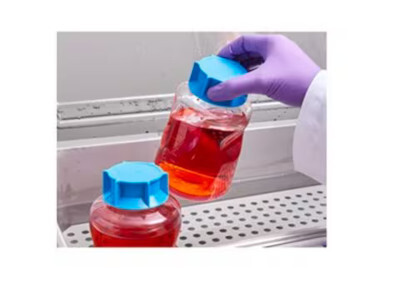 Stericup® Quick Release Receiver Flask, 250 mL