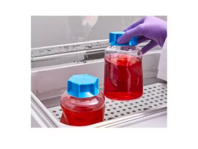 Stericup® Quick Release Receiver Flask, 500 mL