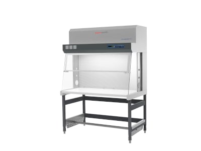 Thermo Scientific Heraguard ECO Clean Bench