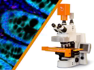 TissueFAXS Spectra Multispectral Tissue Cytometer