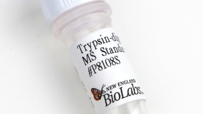 Trypsin-digested BSA MS Standard (CAM-modified)
