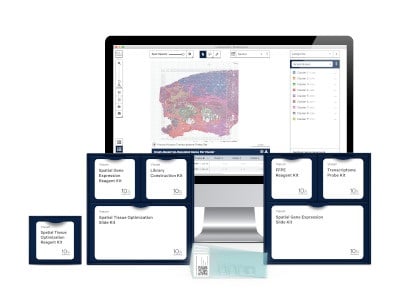 Visium Spatial Gene Expression